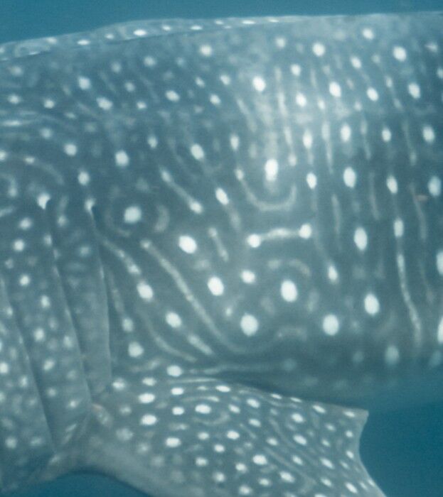 b38ef2c0-1a90-4683-ae43-94f9cfc7c109