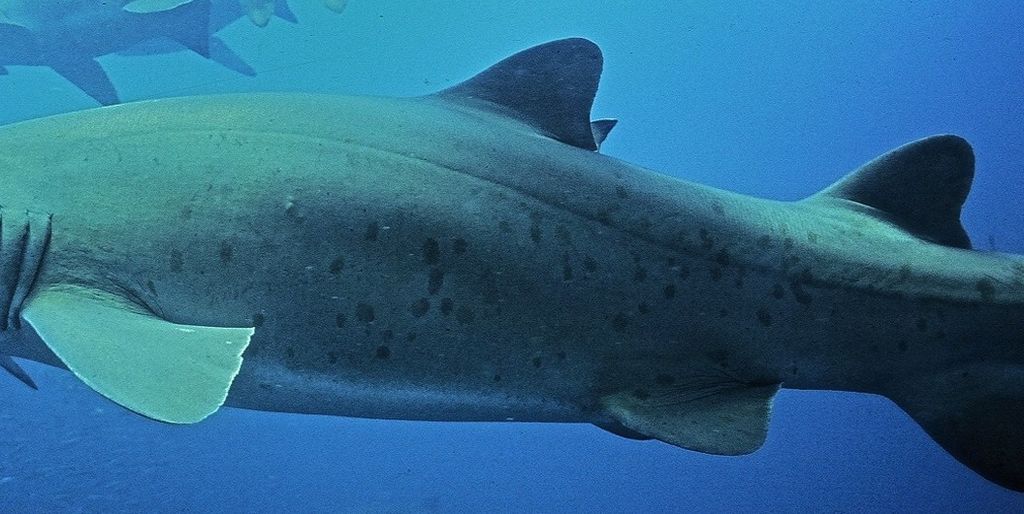 9d96d1c3-3419-412b-bc9d-97e1644b1220