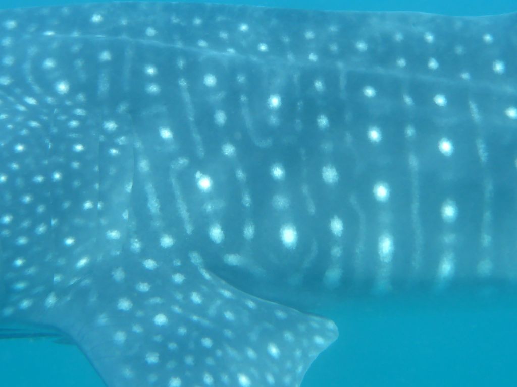 745d0190-efa6-4b9f-9e7a-d126cbd52e70