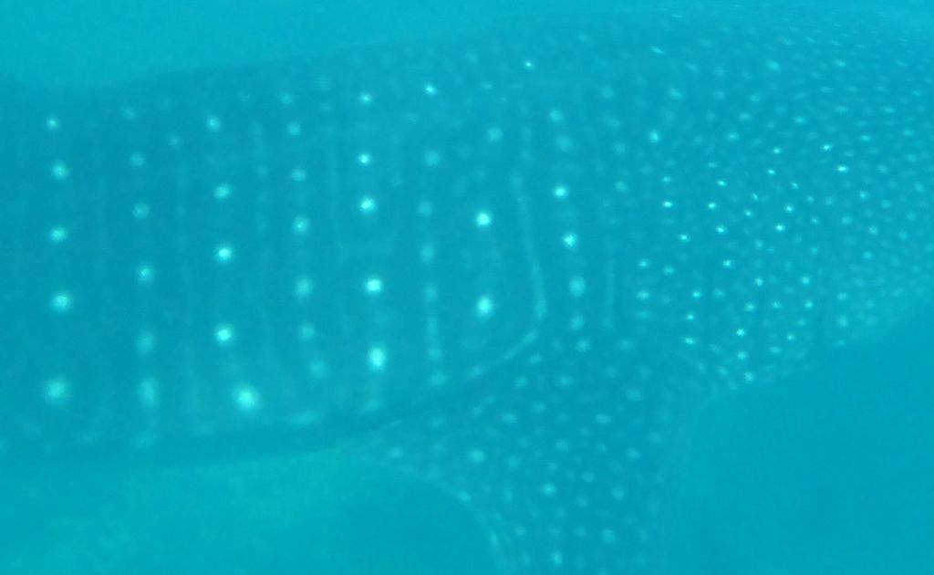 745d0190-efa6-4b9f-9e7a-d126cbd52e70