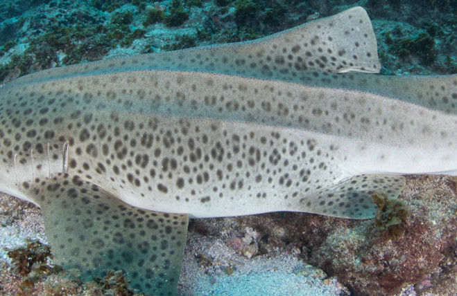 fb099ea0-0945-44b8-aedc-cee740e0e134