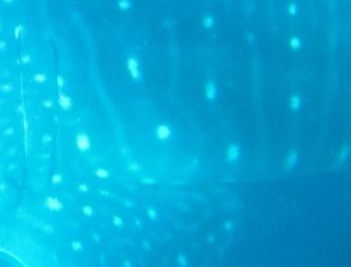 9a175289-fc15-4cee-baa3-d8bcc9cc81d8