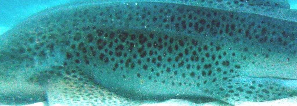 80eaead2-b8c2-4adc-8ddc-c0e128337757