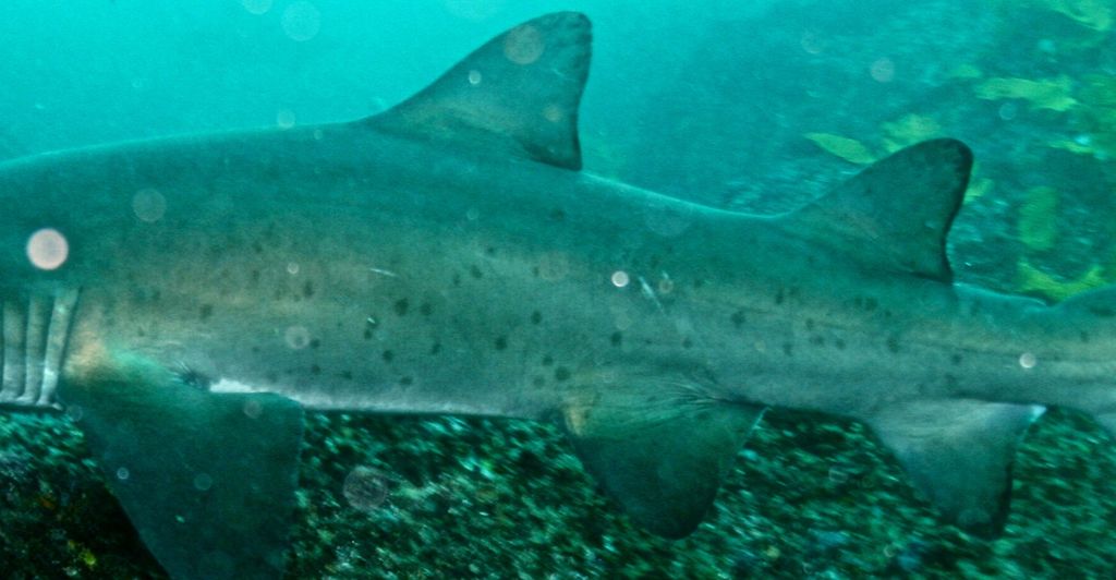 f5cbfc91-3903-457e-b421-c4a3c3d859b7