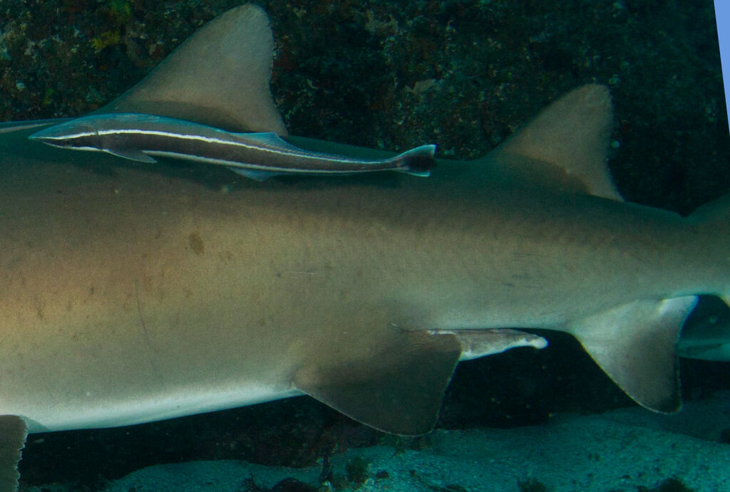 c7261ddf-4002-4672-ac04-9b8190a7dde6