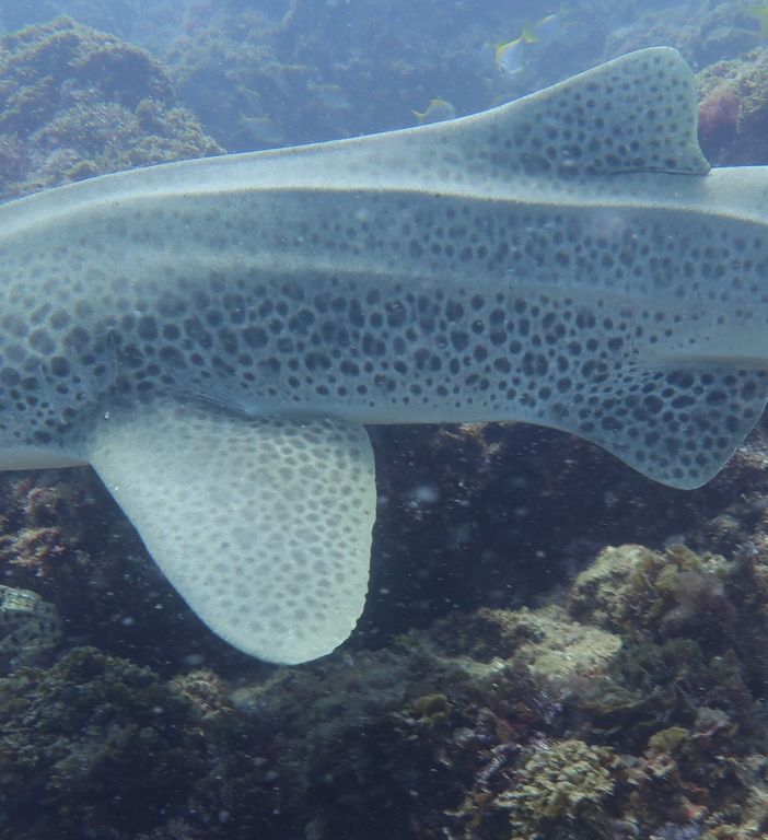 11ac9c92-9de2-450e-ae41-5c5e0ba7c702