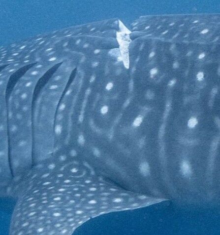 6b2542ae-622c-41bc-90d9-3796457e2f79