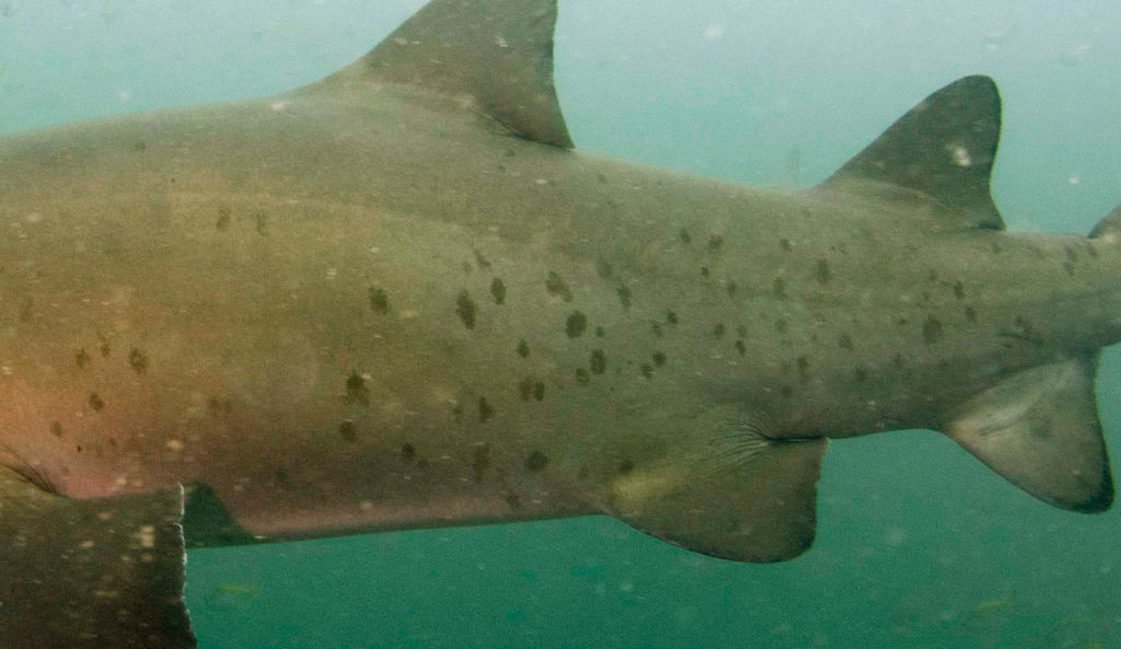 db03f8e0-5ac8-4177-a845-94e9c59049f8