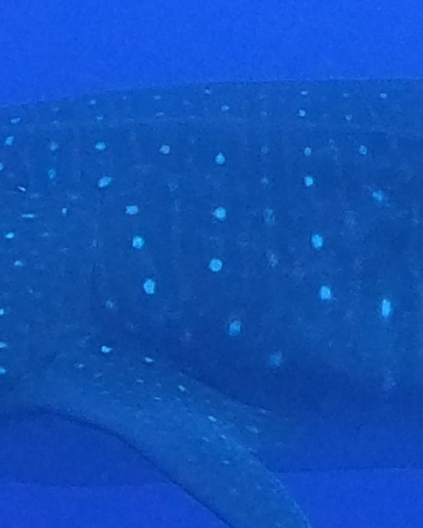 9f802d2e-9d7e-45cd-934b-056ad3ad804a