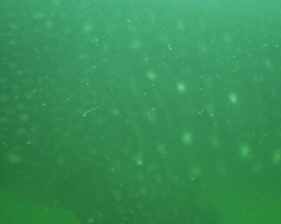 132242c8-36db-49de-a56f-a5dd37139647