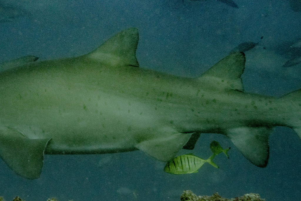 b577f390-7c84-422a-b138-5d76d3bab45c