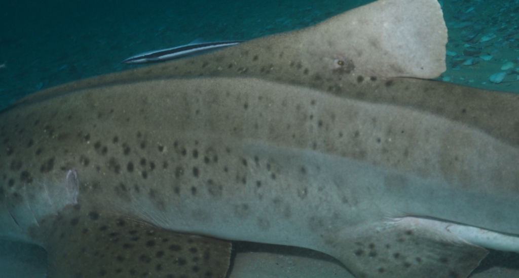 8b3db0aa-32e3-4308-889d-ee8ff9bbf7df