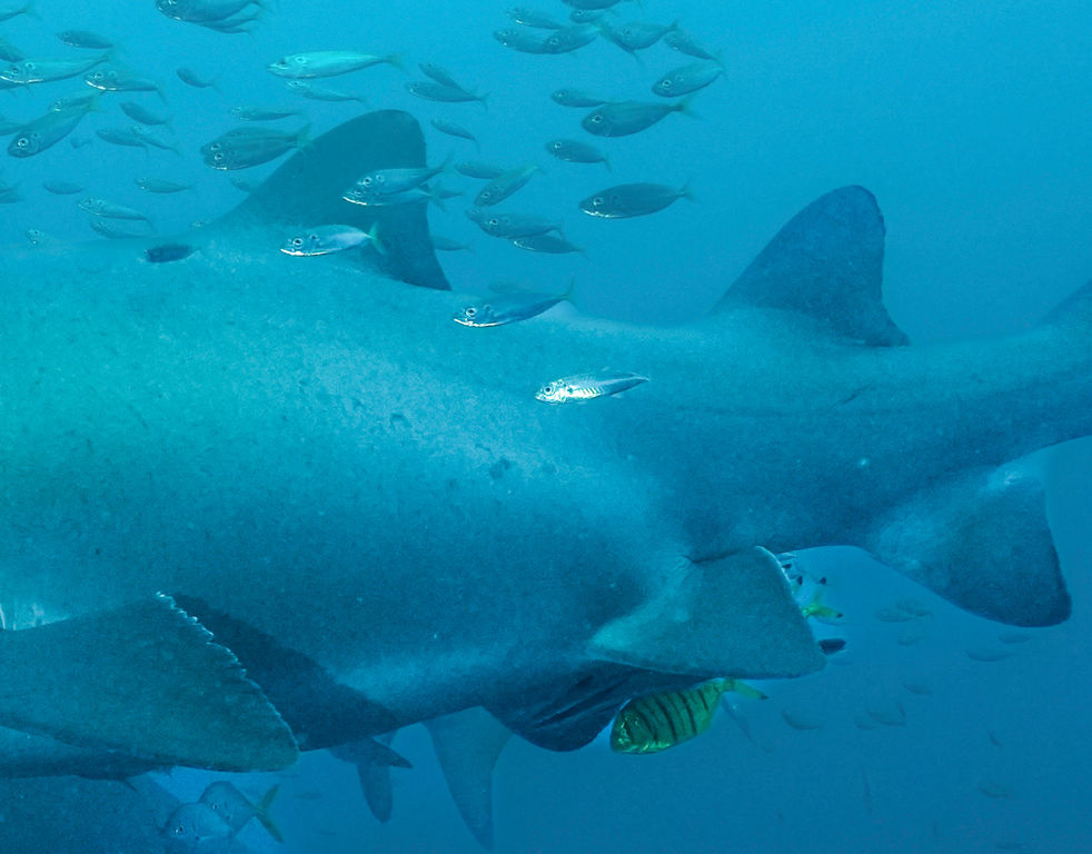 a482a28c-0bf0-49a3-a096-8ecdcc1ef88b