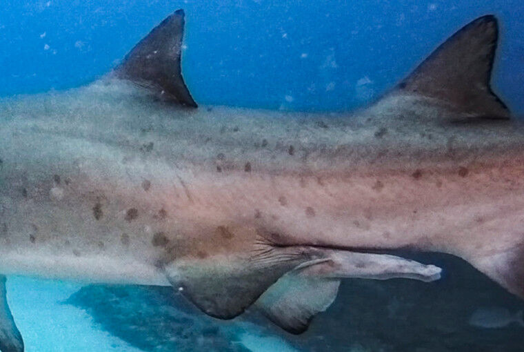 2dd01560-adc1-484c-bb6d-ac0c6d096335