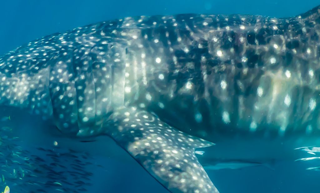 a3960fcb-ed94-4ed5-94f5-c6d6433255be