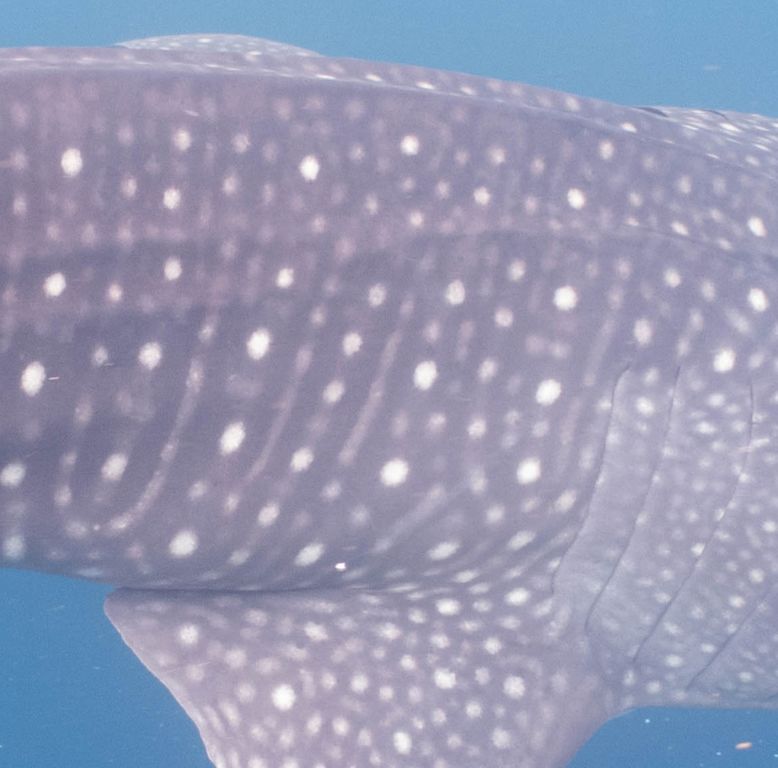 d44d475a-9b4b-4a3a-a995-b21261c41509