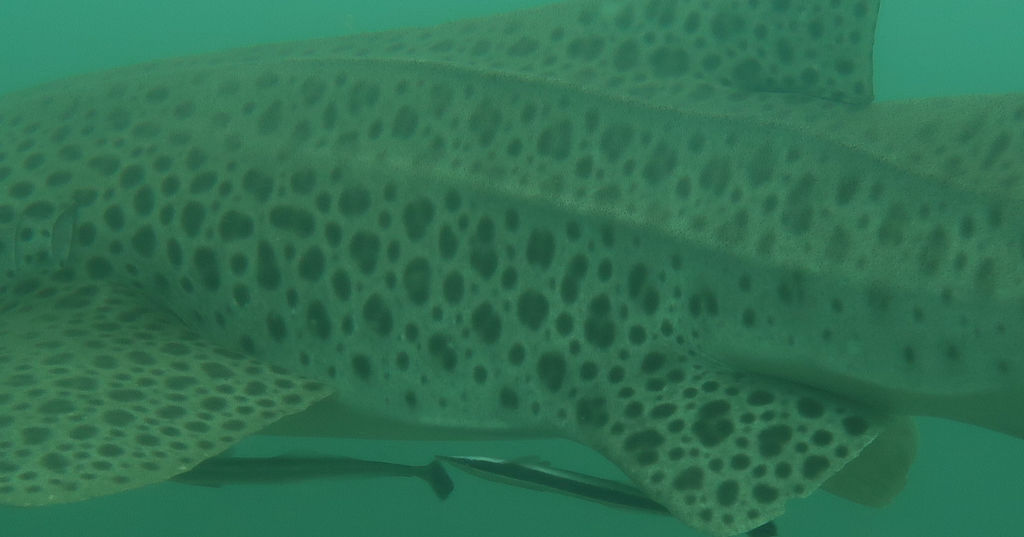 7c6a1355-c866-4f11-b71a-22f799319afc