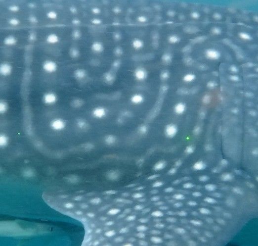 33a4ef57-746f-4b0b-8b87-152ca6f17873