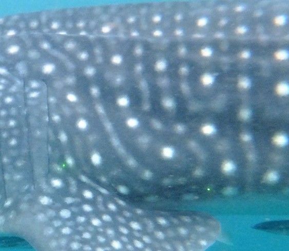 33a4ef57-746f-4b0b-8b87-152ca6f17873