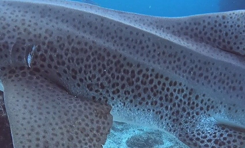 d58b0845-ad37-49ce-9310-b6304a74bc4a