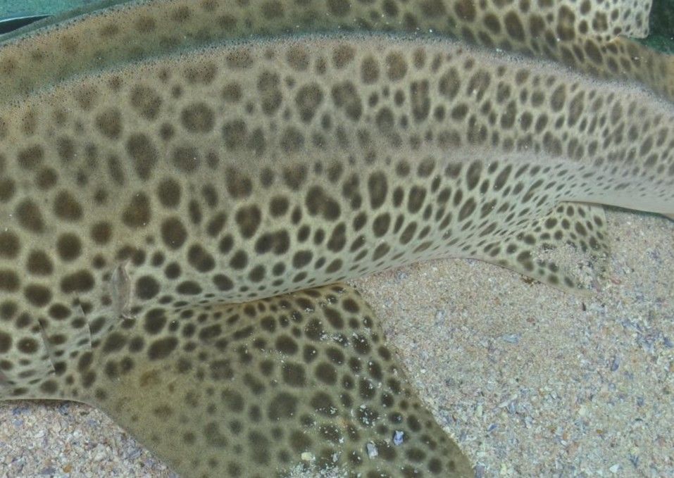 82278b1c-d8d8-44c4-bd4c-a68dfa0543b0