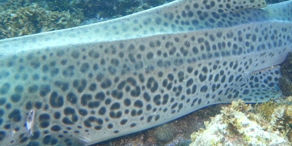 96d42ae0-070c-4441-9aa6-2c2a3b5422b9