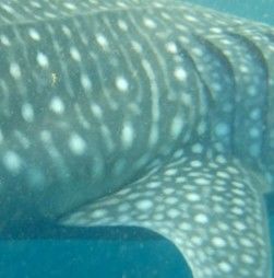 2547a662-908f-48c3-8760-68a2e5003ac2