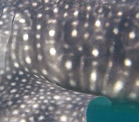 021ef77d-9c23-4202-be7f-863bee294dc0