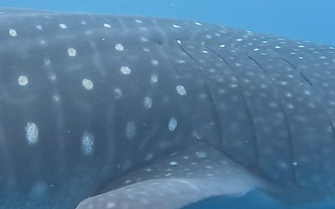 bcdb511c-3807-41f9-98a9-b5e035b7e9d3