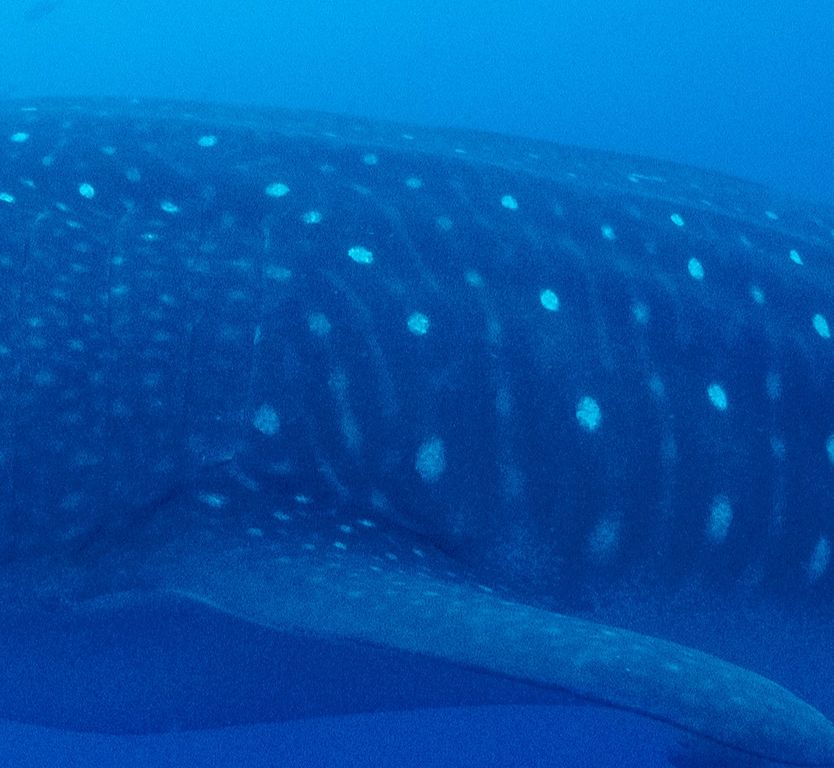 bcdb511c-3807-41f9-98a9-b5e035b7e9d3