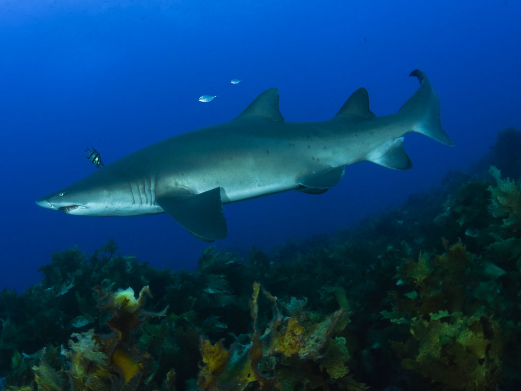 e1df262a-e096-4e45-8746-3c0bec0532e4