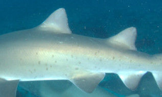 6ab547fe-e604-4b98-955c-b9f541035b35