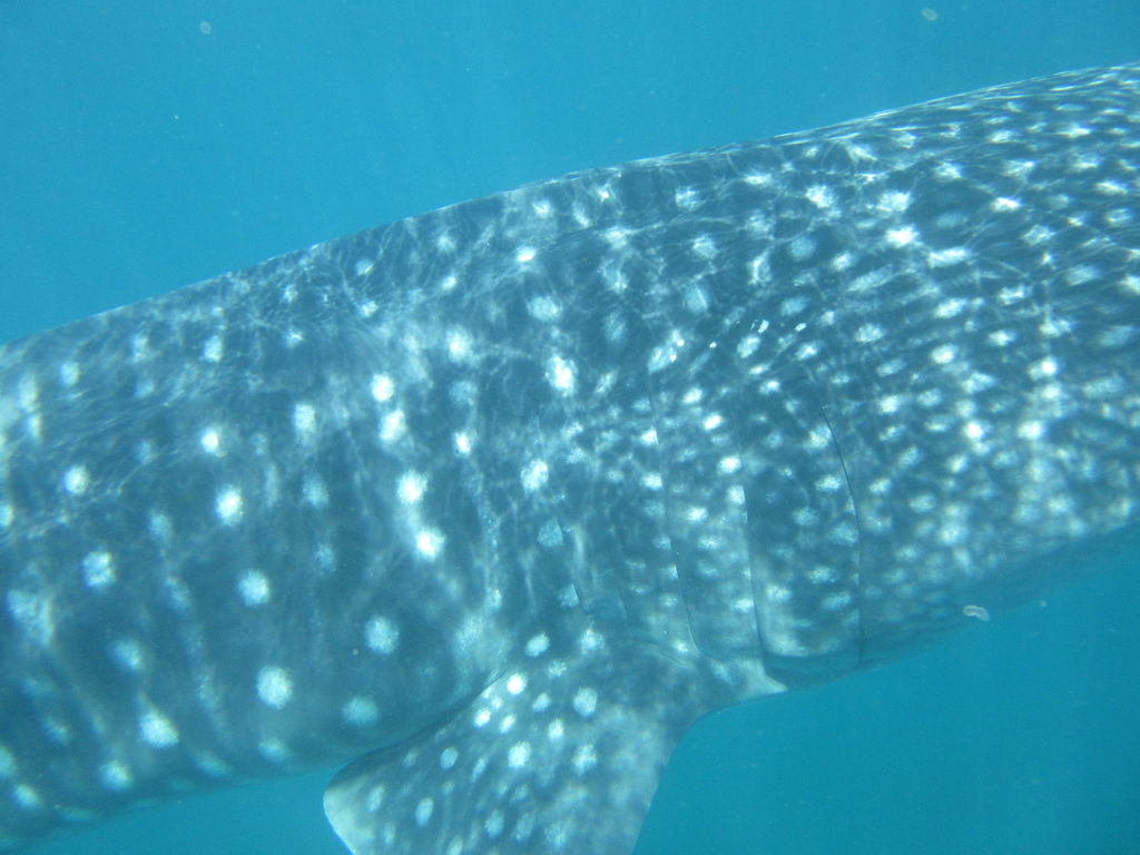 db52c085-924c-44c1-ba02-04afbe3d4f50