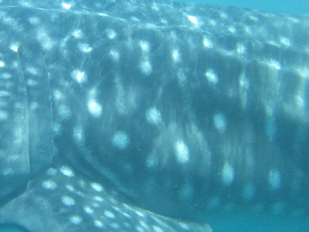 db52c085-924c-44c1-ba02-04afbe3d4f50