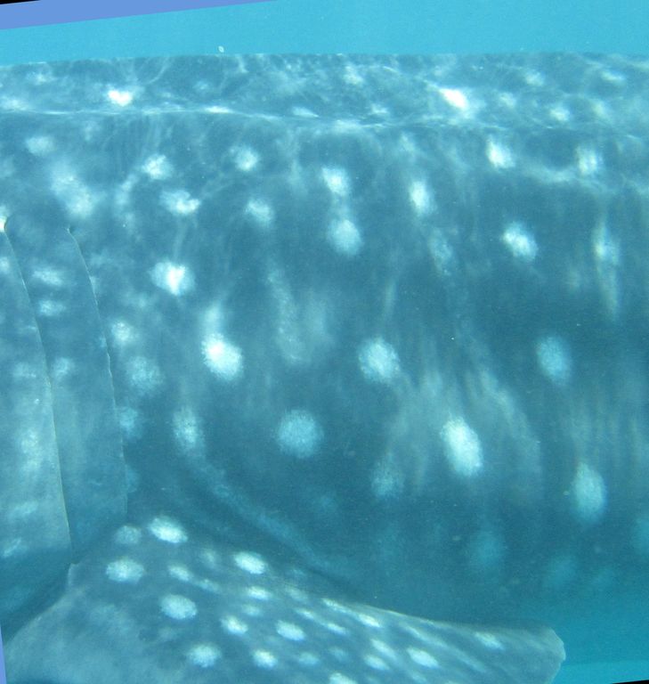 db52c085-924c-44c1-ba02-04afbe3d4f50