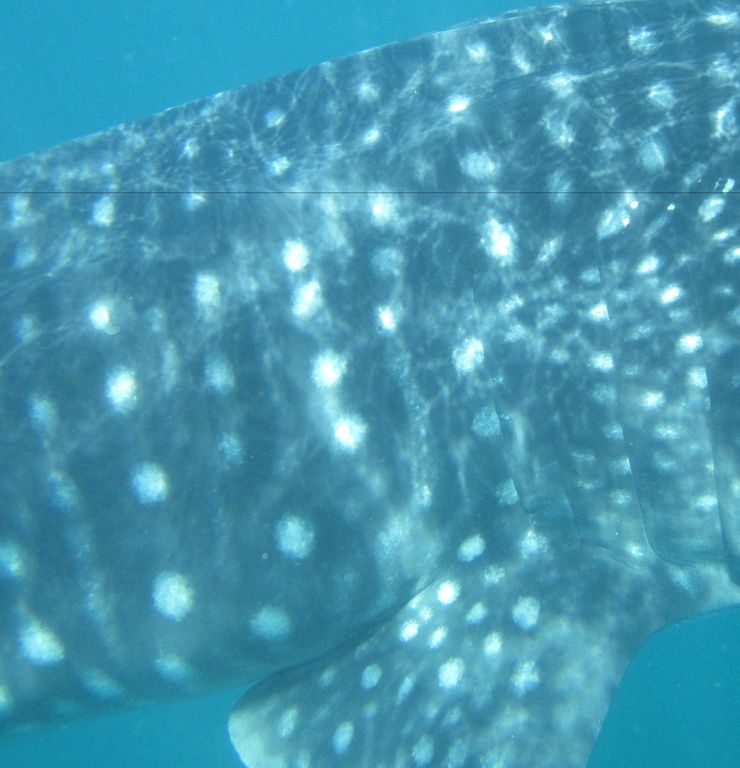 db52c085-924c-44c1-ba02-04afbe3d4f50