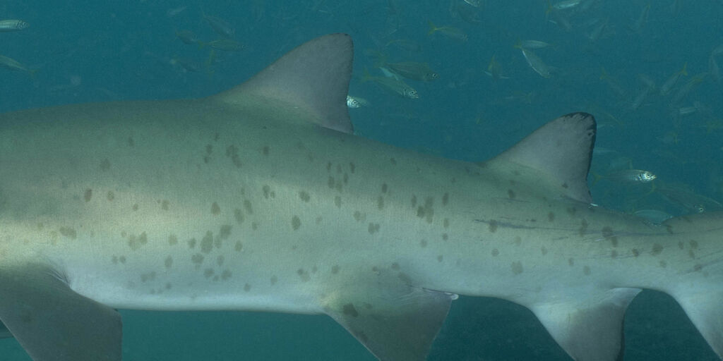 96eb23b2-6d68-4833-80ff-64b30cbcdb79