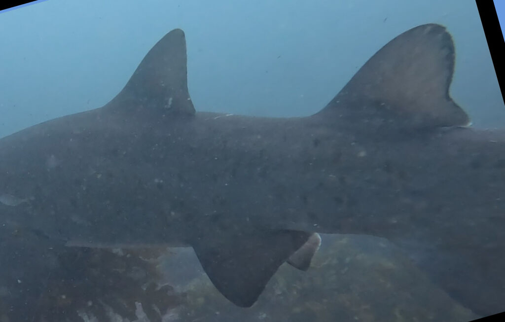 b93f6d89-ab78-48b1-85cd-6fa28f205f7c