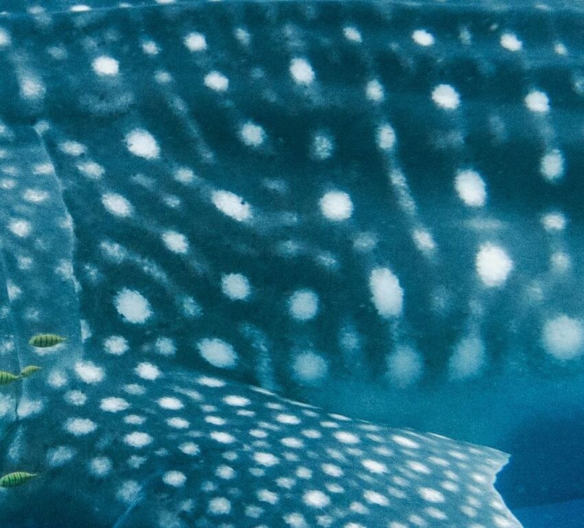 3a266a56-1f41-4026-bd8b-b61432a5f744