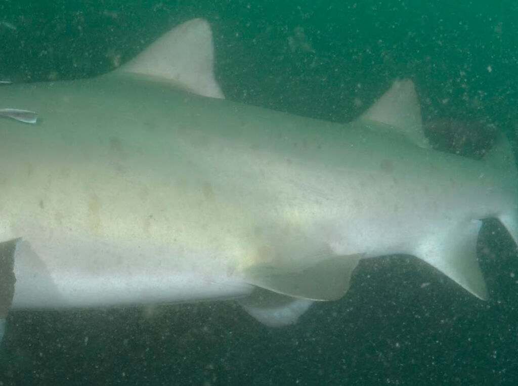 10e0f885-44e9-4462-a2c7-6ee126102b6f