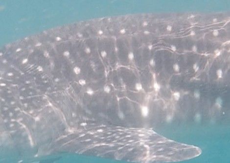 62f4452e-98b5-466f-aa5a-9e2151e51f0c