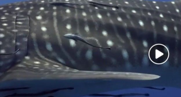 aed94df1-e48e-4e33-9356-ee9b525dad20