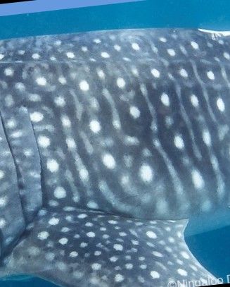 01e40dc2-fe9d-494f-93fe-ecc9c5cb4a17