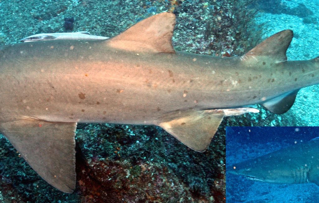 da648939-51dc-48b1-990d-a309cc5c0cc2