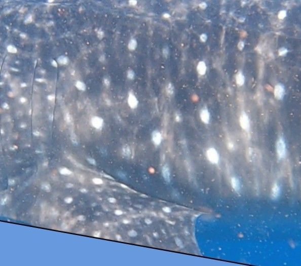 d3c8fcaf-9f49-40d8-87cc-d89b5ece73a6