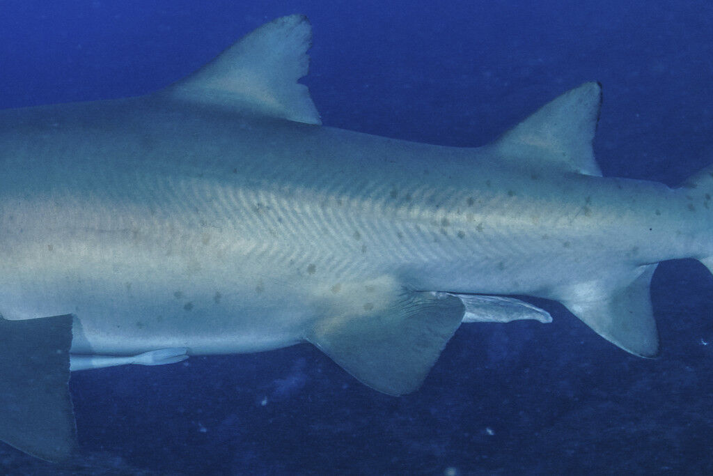 02e1bcf0-6098-4392-840b-7a1a02d16fba