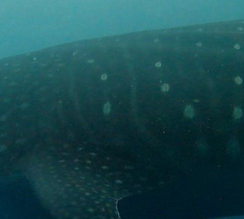 10c45a4b-803f-4853-90db-ca180e464f1d