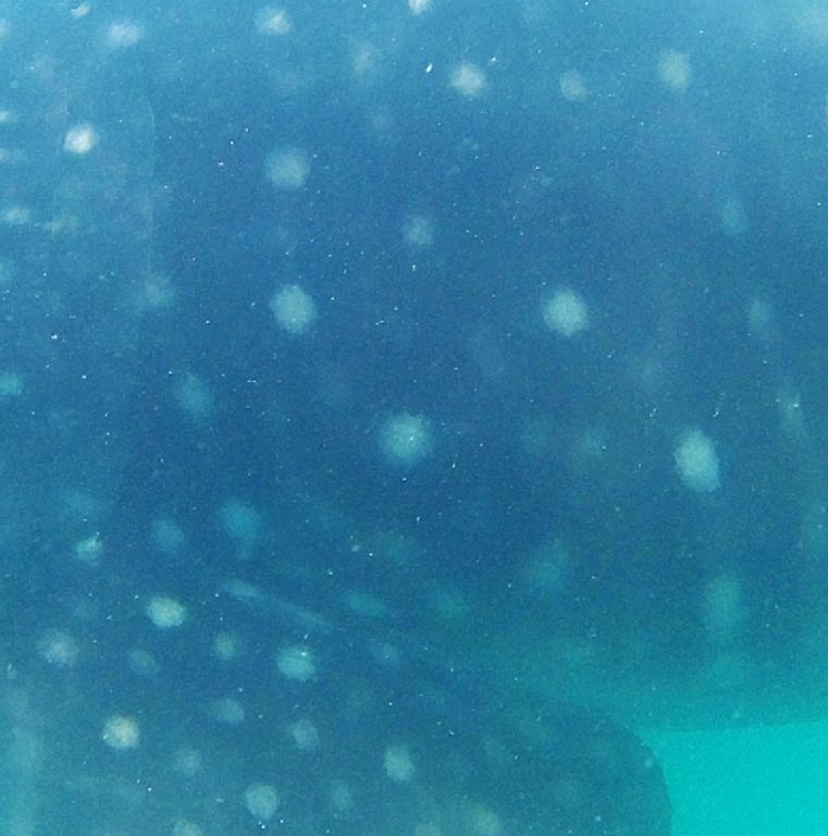 45402119-be42-4d73-a0fa-e35b38f7e75e