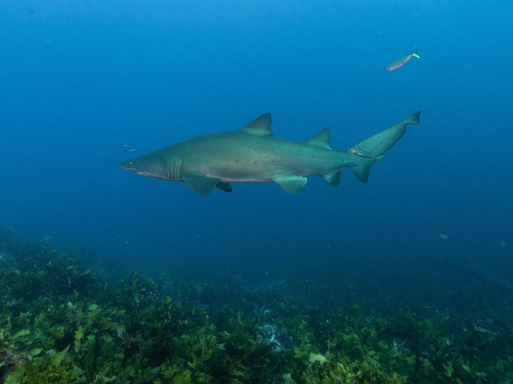 8a54b576-9547-4d5d-ba35-6d9643e0eeae