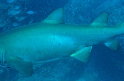 060f7091-e465-4378-80bc-5cb7d8838fb1